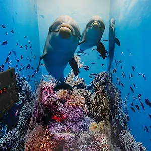 Tabist Sparkling Dolphins Auberge de jeunesse